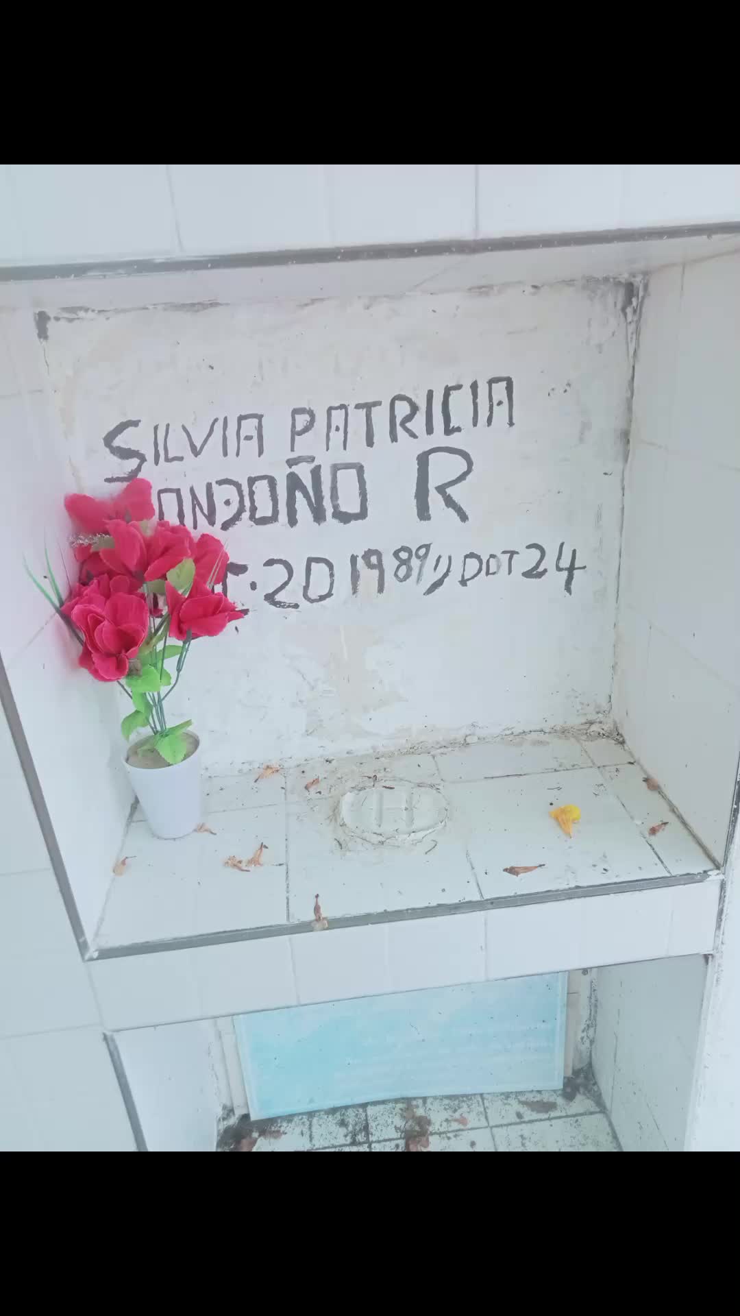 @PIRIDAVIDOFICIAL