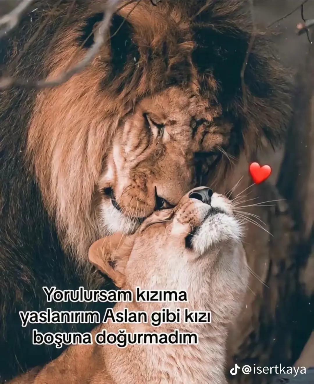 @&Ccedil;iğdem Deniz