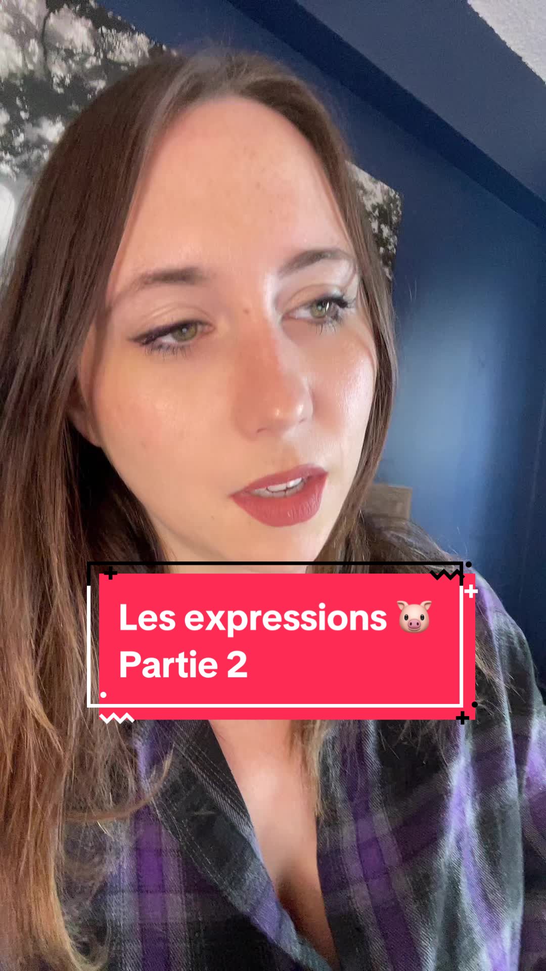 @stephvr🇨🇦