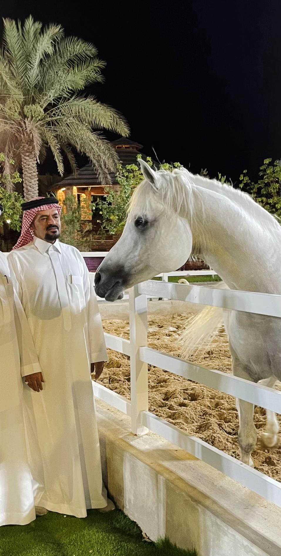 @صالح بـن عـبيان ال سالم.
