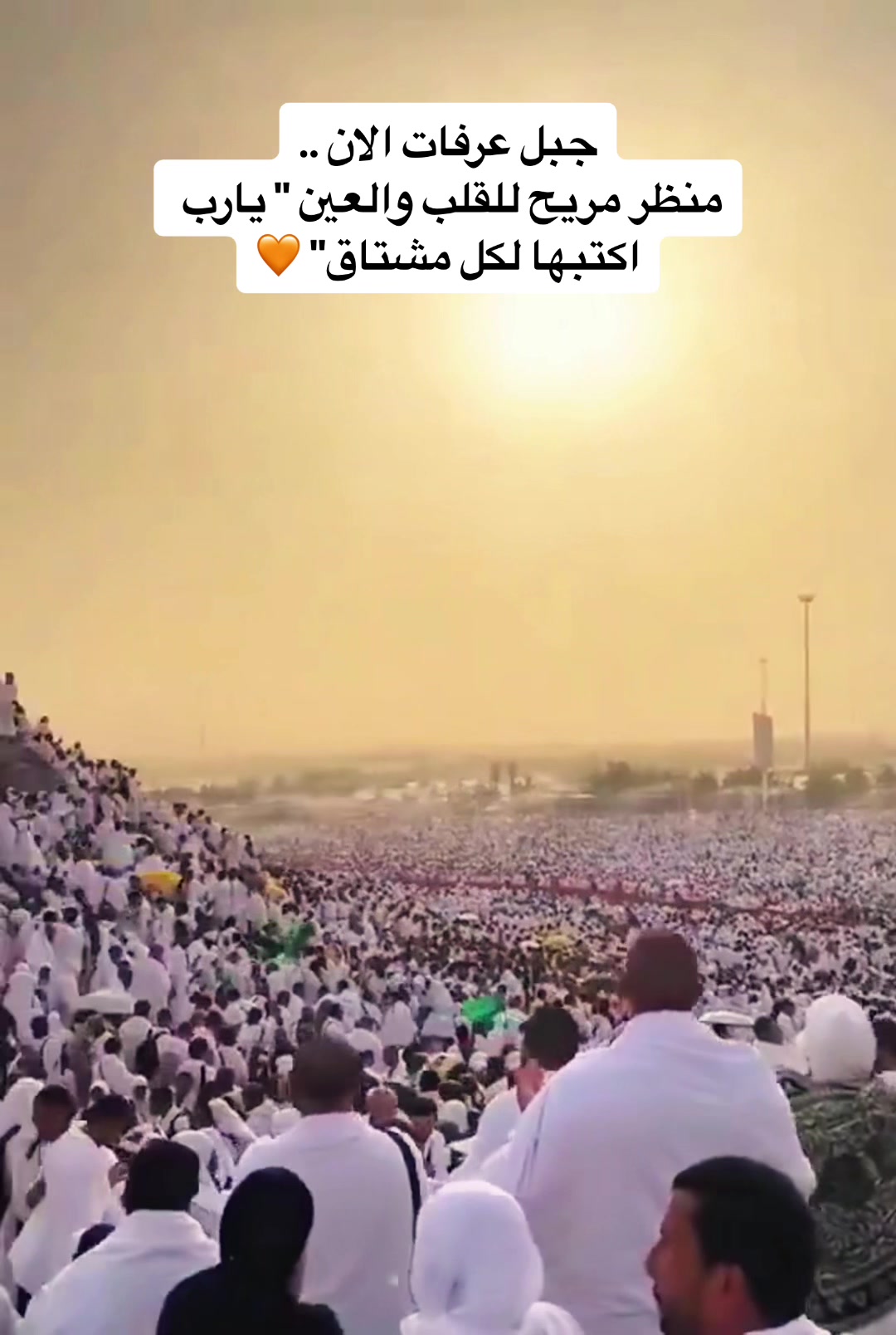 @Mostafa Disha