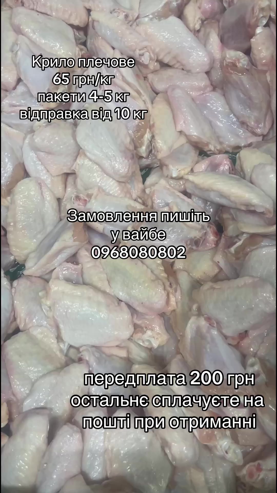 @msmakoluku