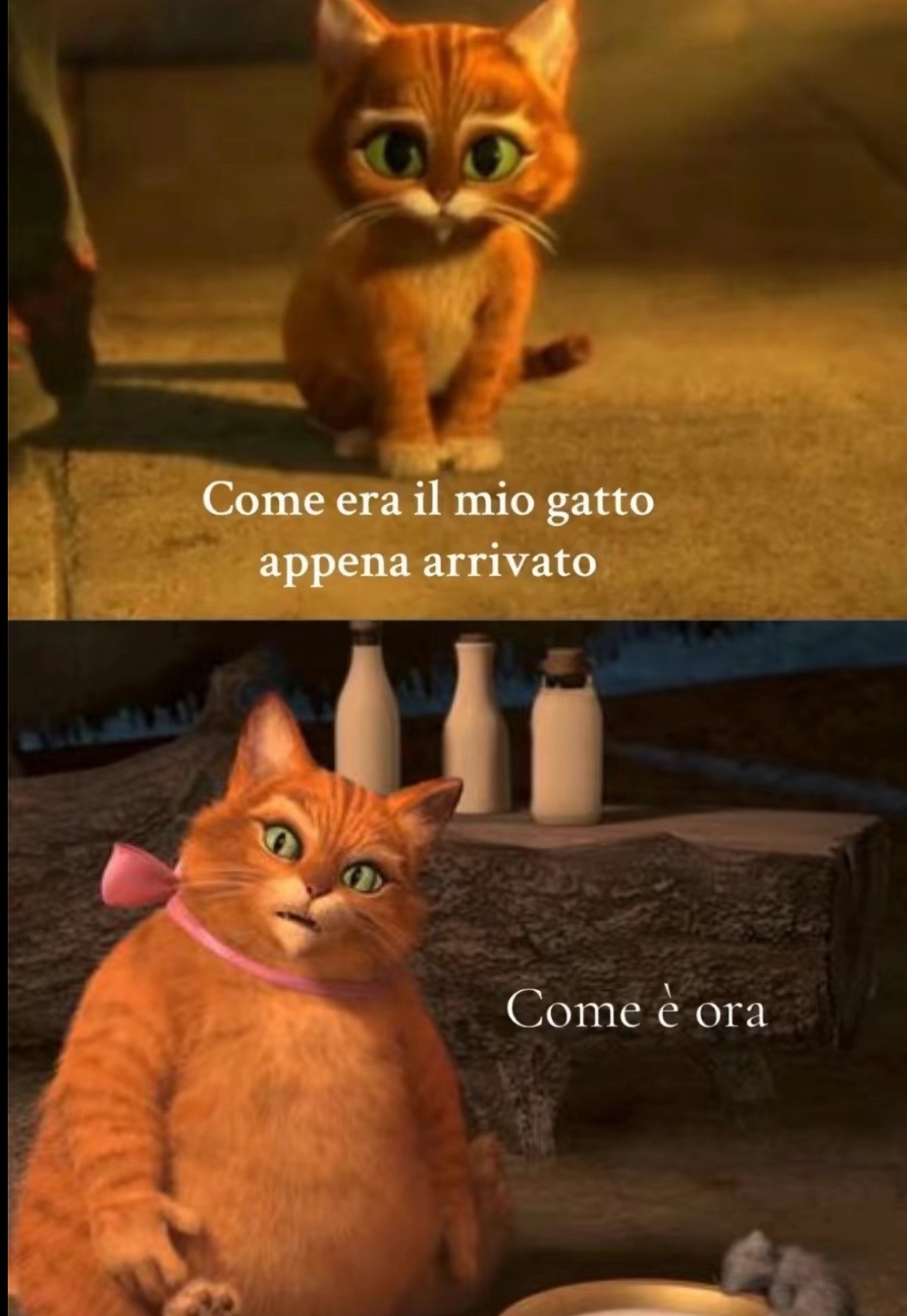 @Alessia Vano