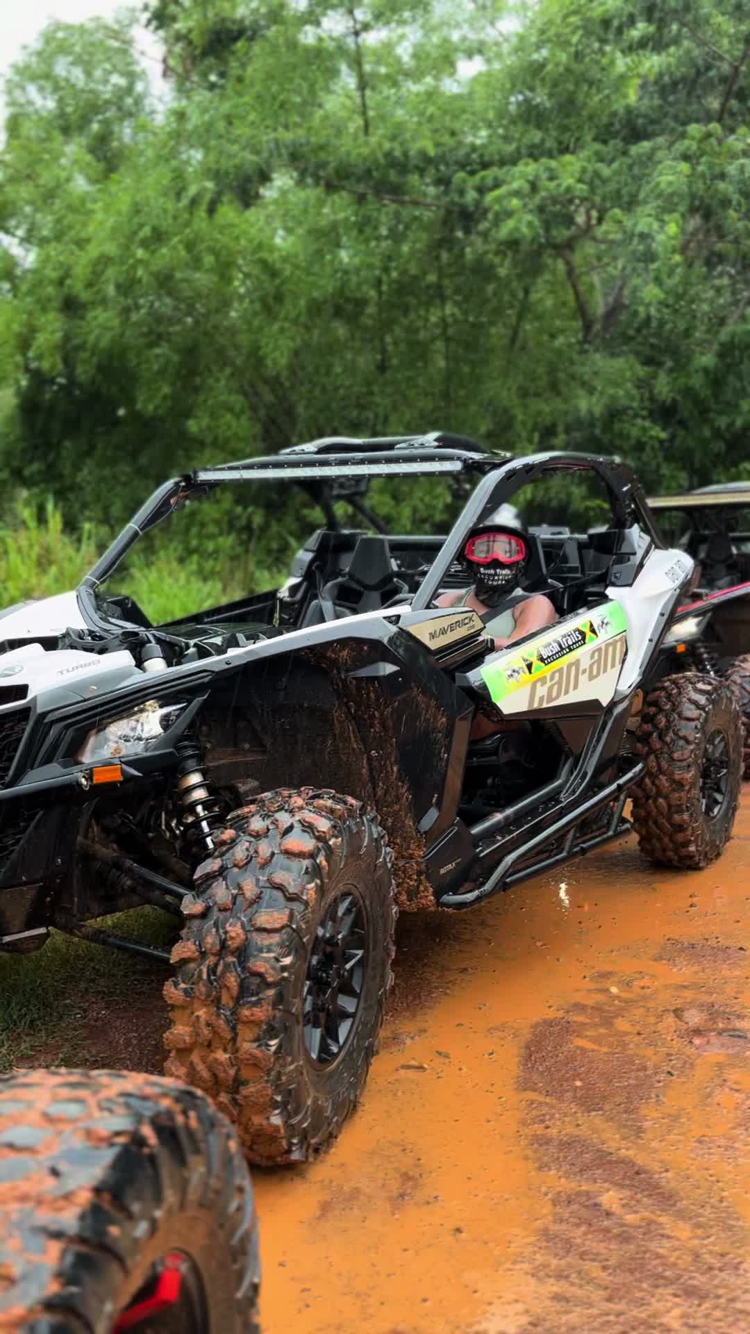 @Bush Trails Excursion Tours