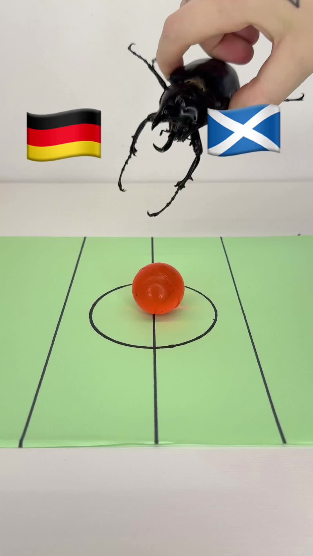 @Adrian Kozakiewicz