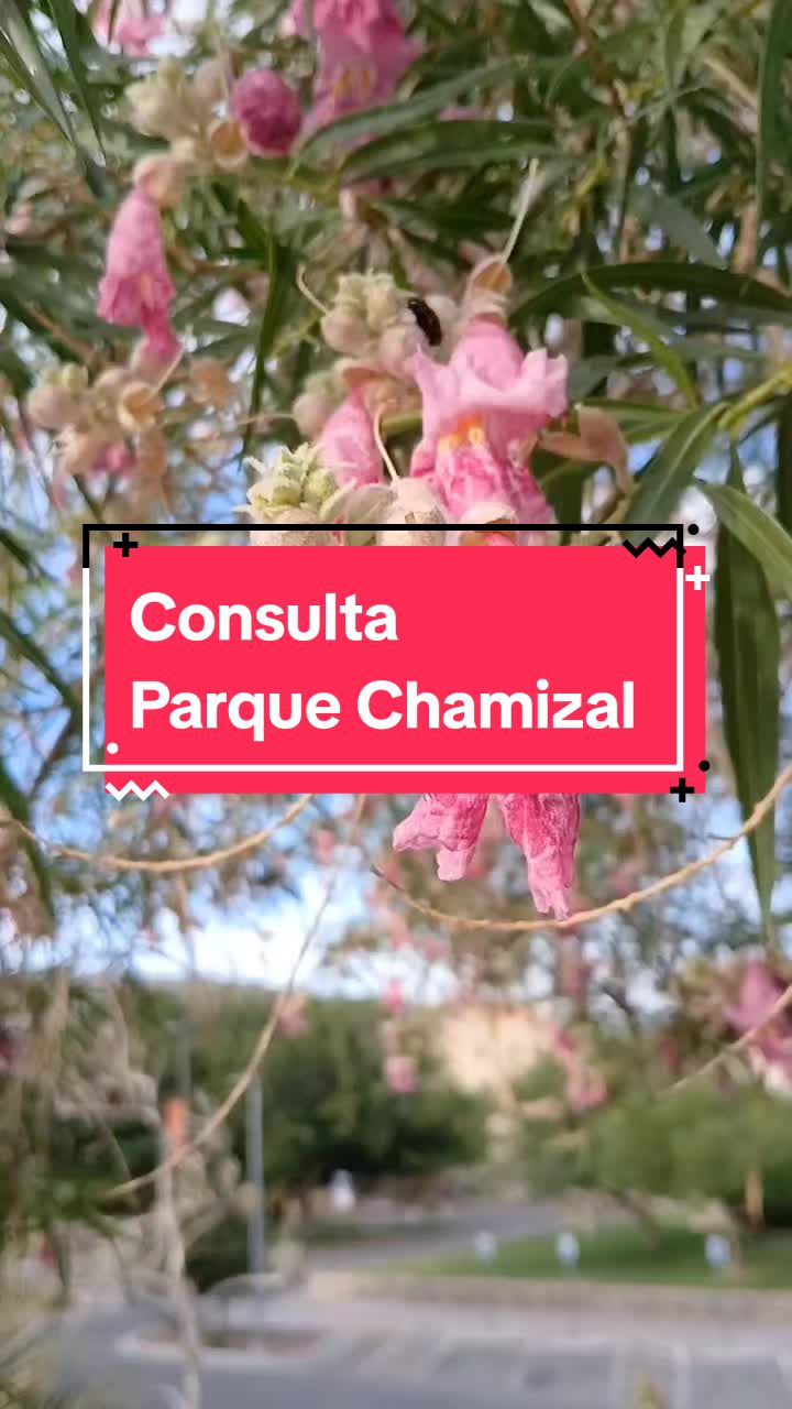 @Ecoversi&oacute;n