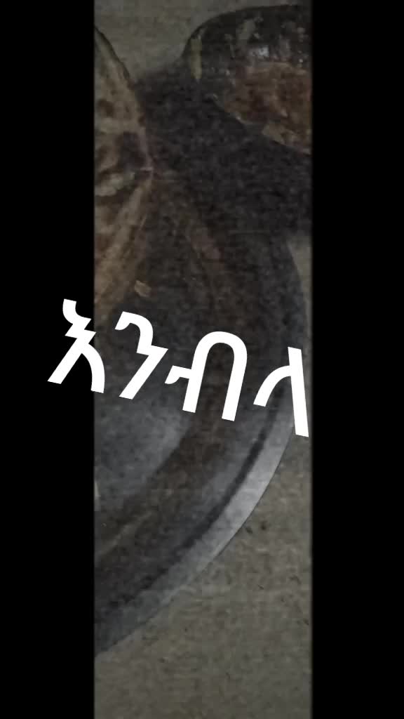 @★᭄ꘚꦎꦋ௵꧀∭∭༺༒༻&deg;&bull;✮&bull;&deg;