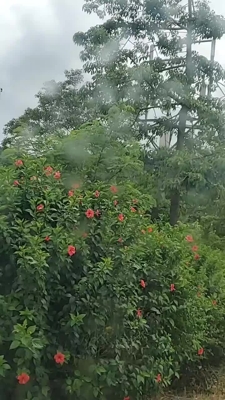 @user5649551152689