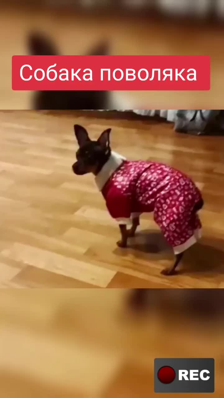 @Лариса
