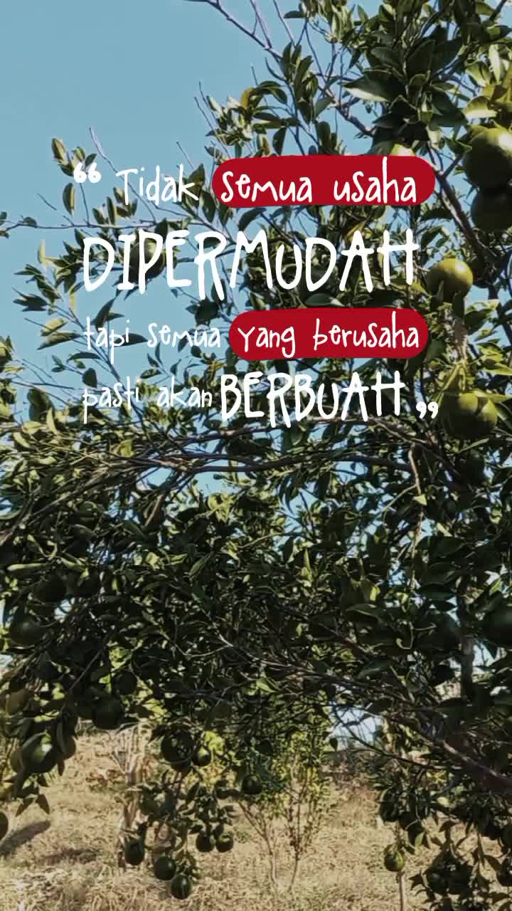 @Wisata Agro Bukit Jeruk