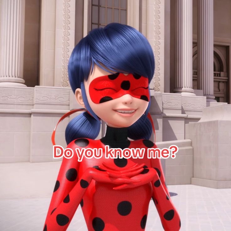 @🐞🐈&zwj;⬛