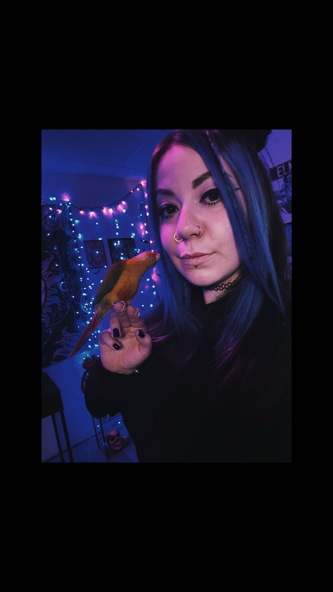@Kuhboom.ttv🕸️