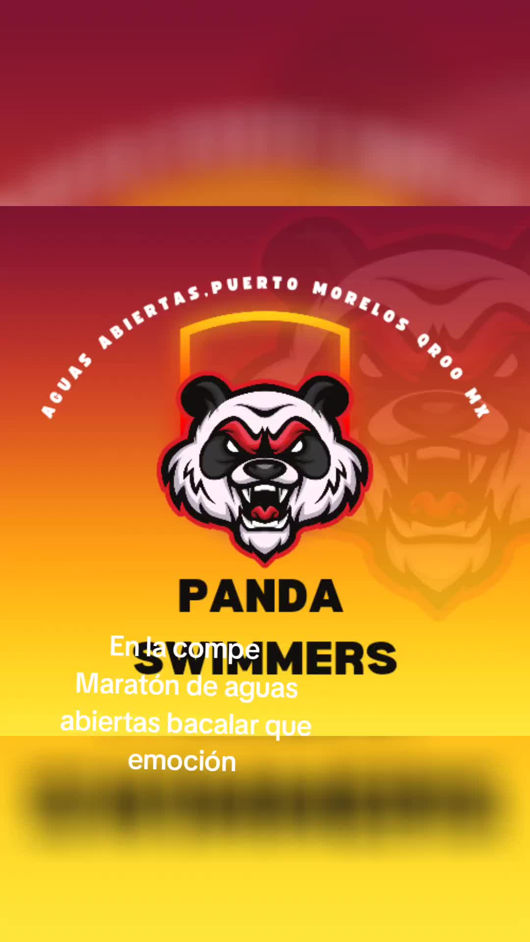 @Laura Panda