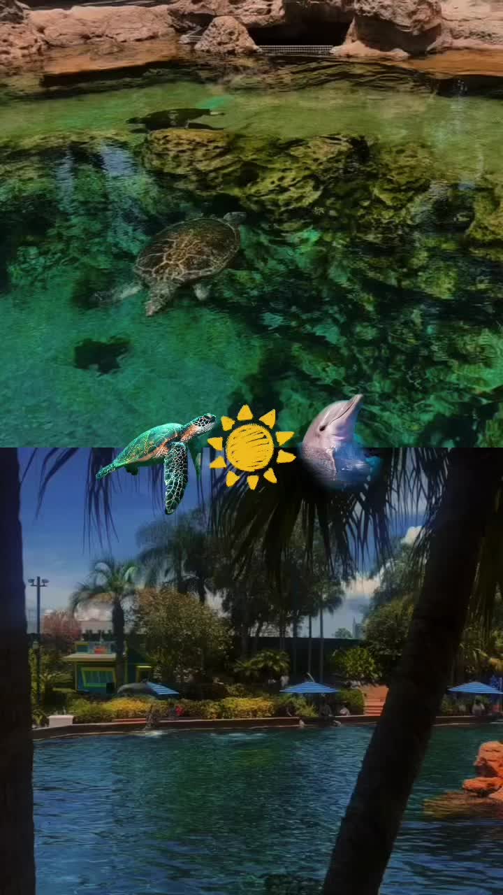 @ntravelkjc