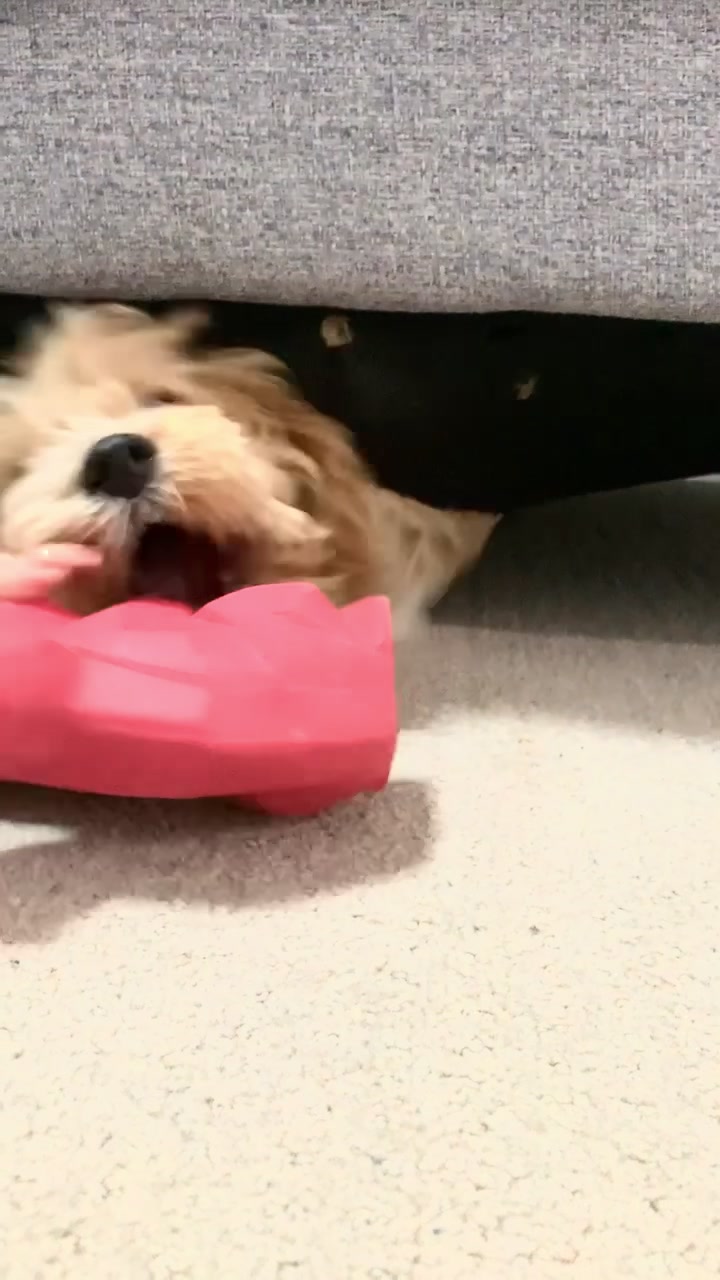 @Tanniah Kwan