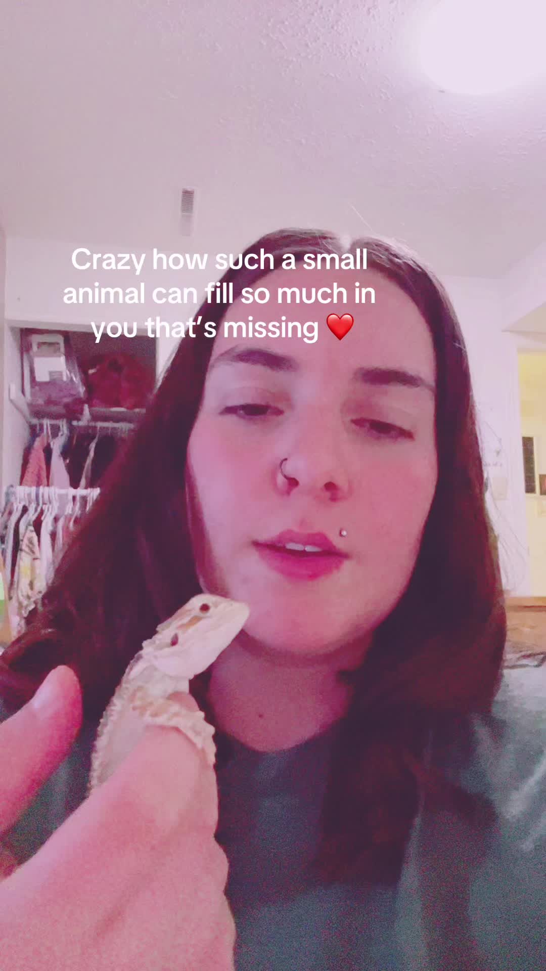 @Animal lover💕