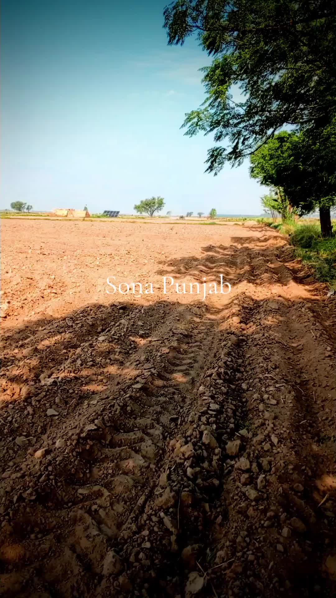 @shahbaz Punjabi 0786