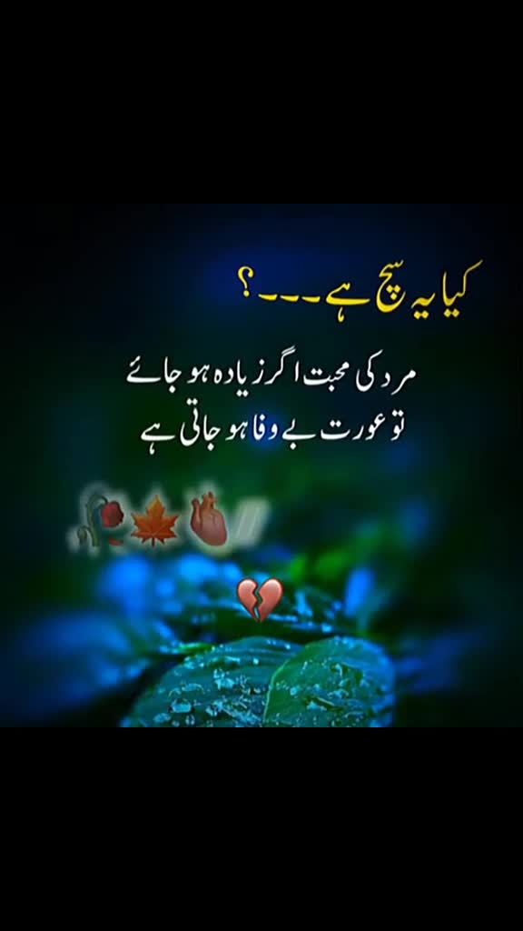 @Selfish official network