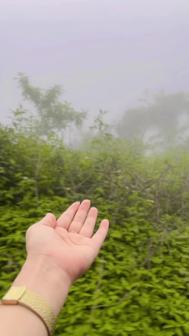 @Eshika Thapa