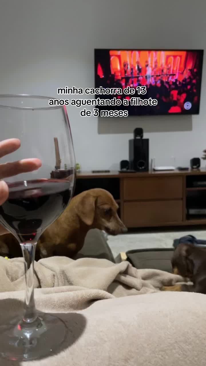 @Ana Clara