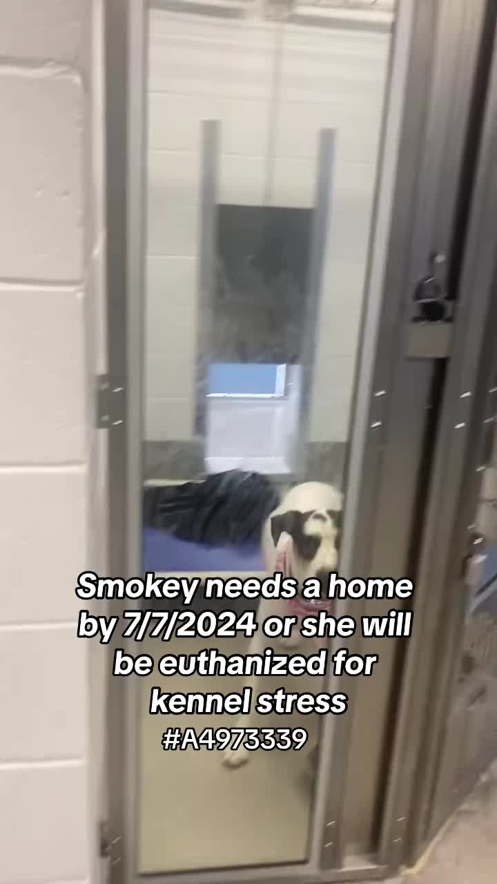 @OneLoveArizona