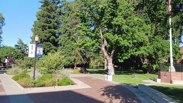 @chucksupernatural