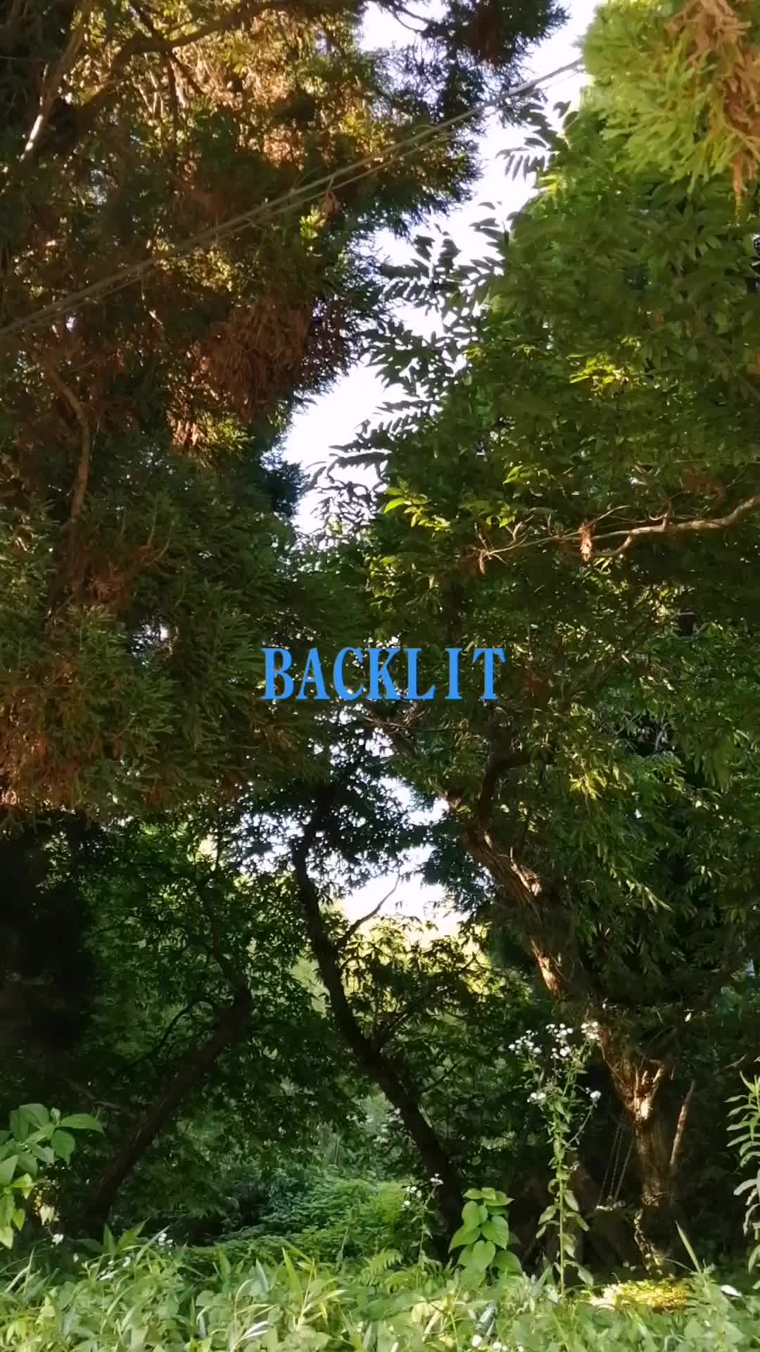 @ナツロキ🎶音楽と⛰️風景と😃😃一緒に