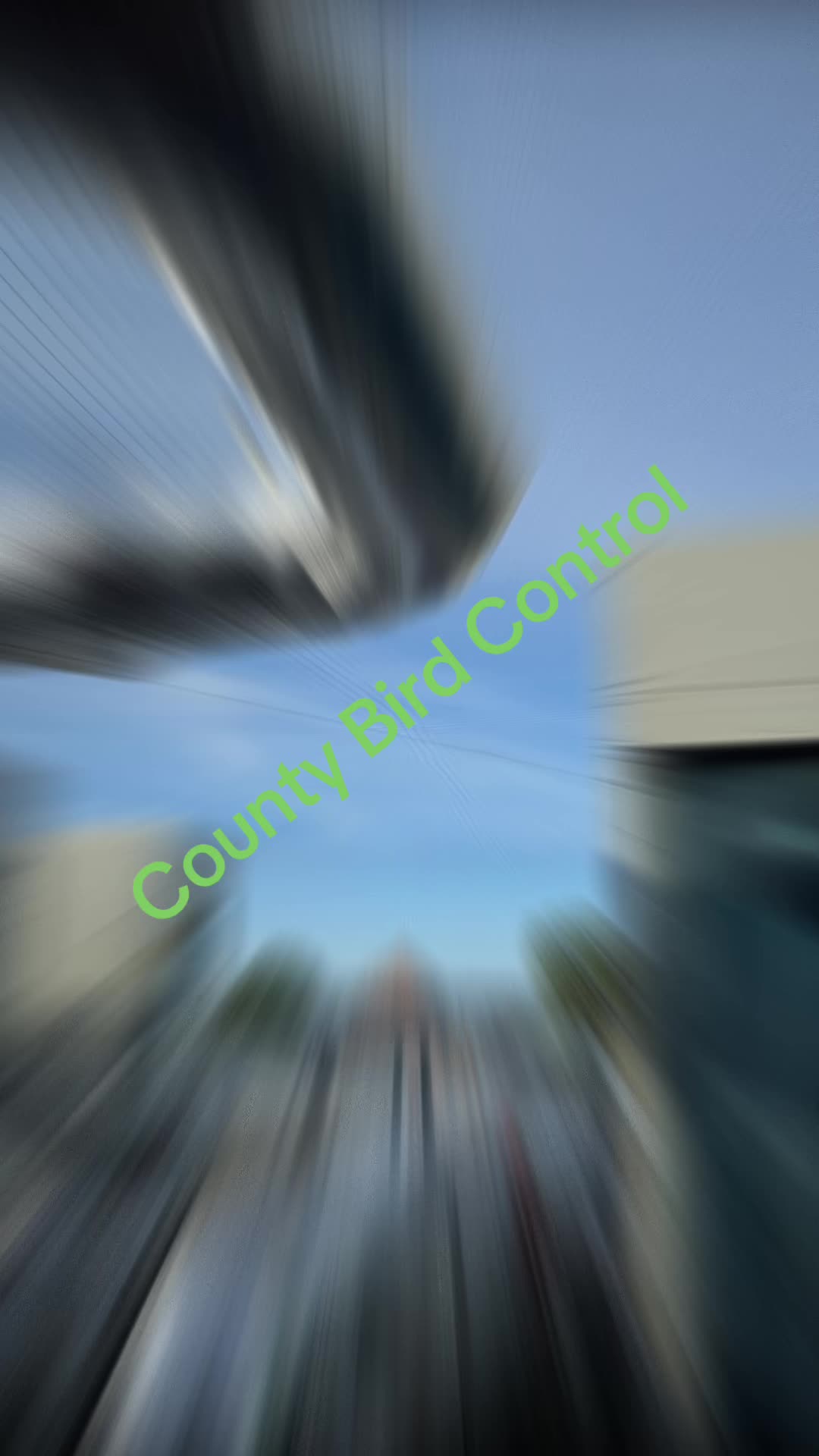 @CountyBirdControl