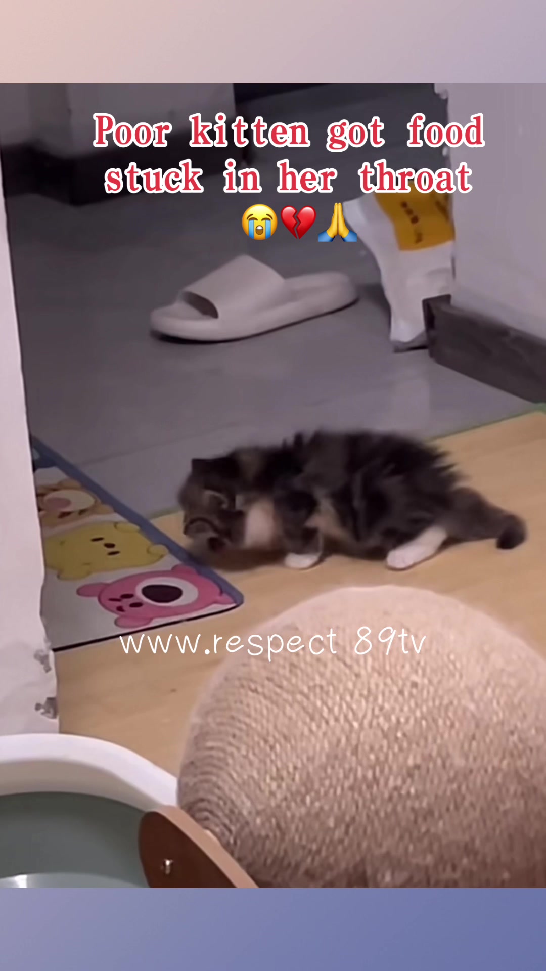 @Respect 89tv
