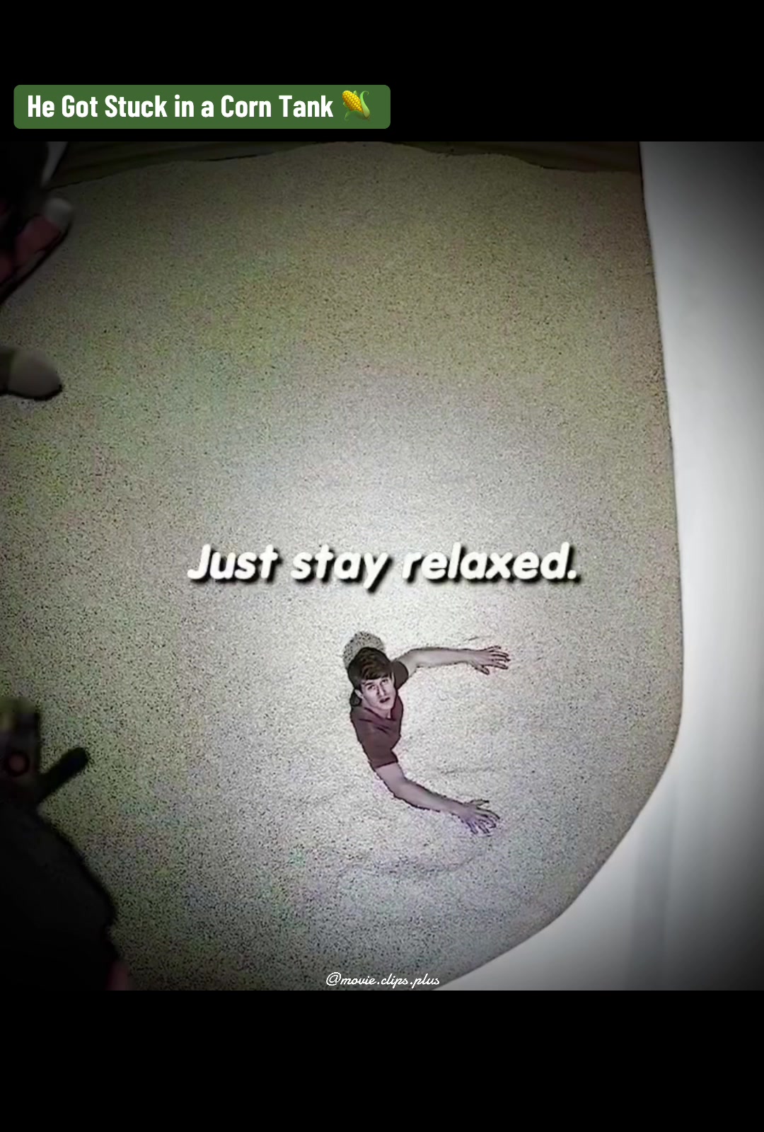 @movie.clips.plus