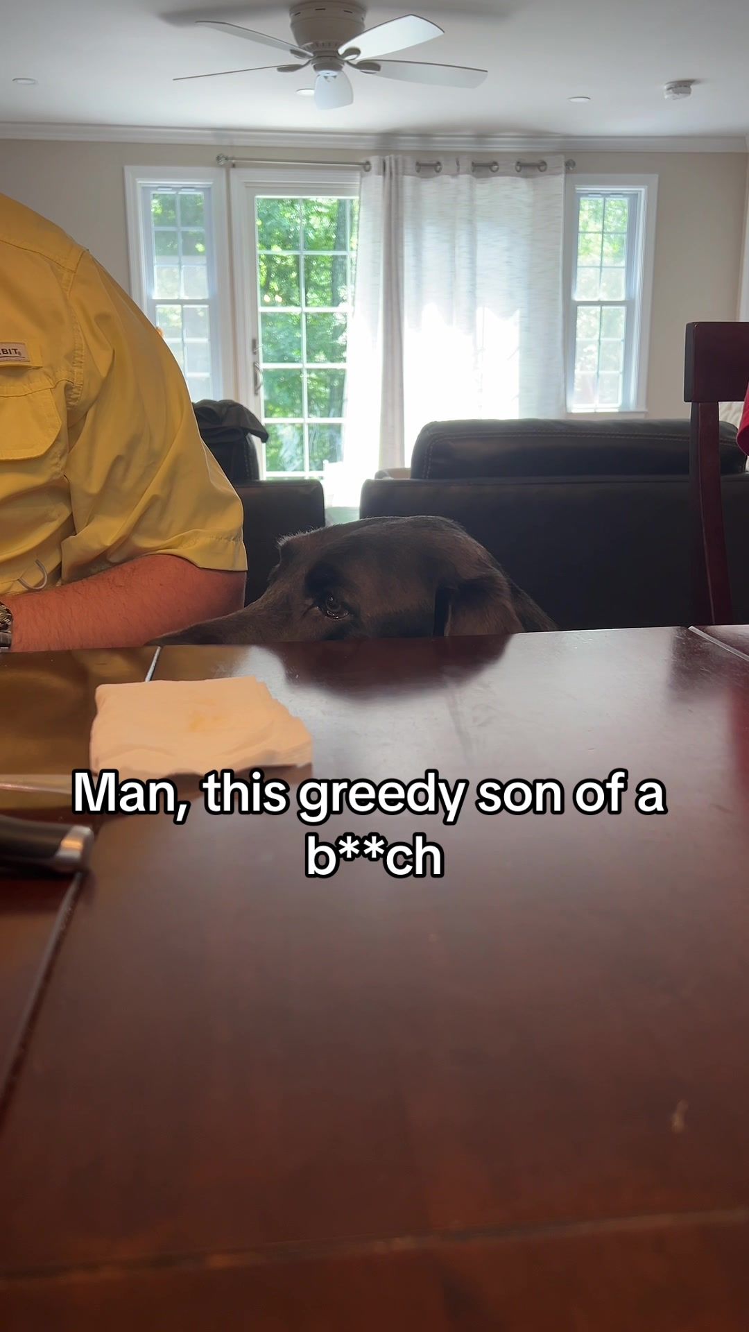 @Adventures of Gunner & Cookie