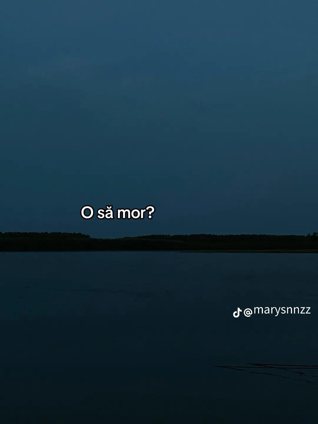 @Narci 🦥🌛