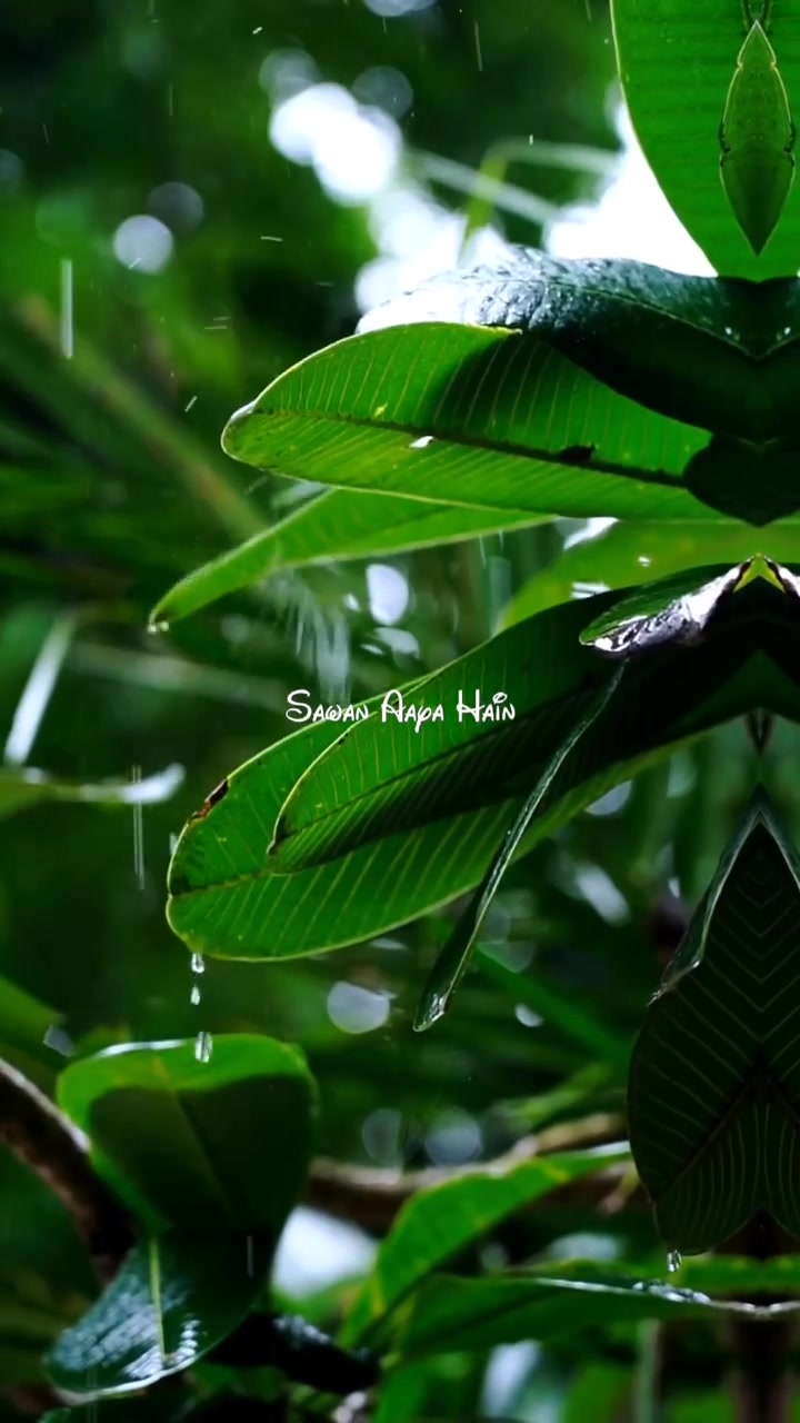 @🦋⃟Akash♡_Hun_Yr🖇️🤍