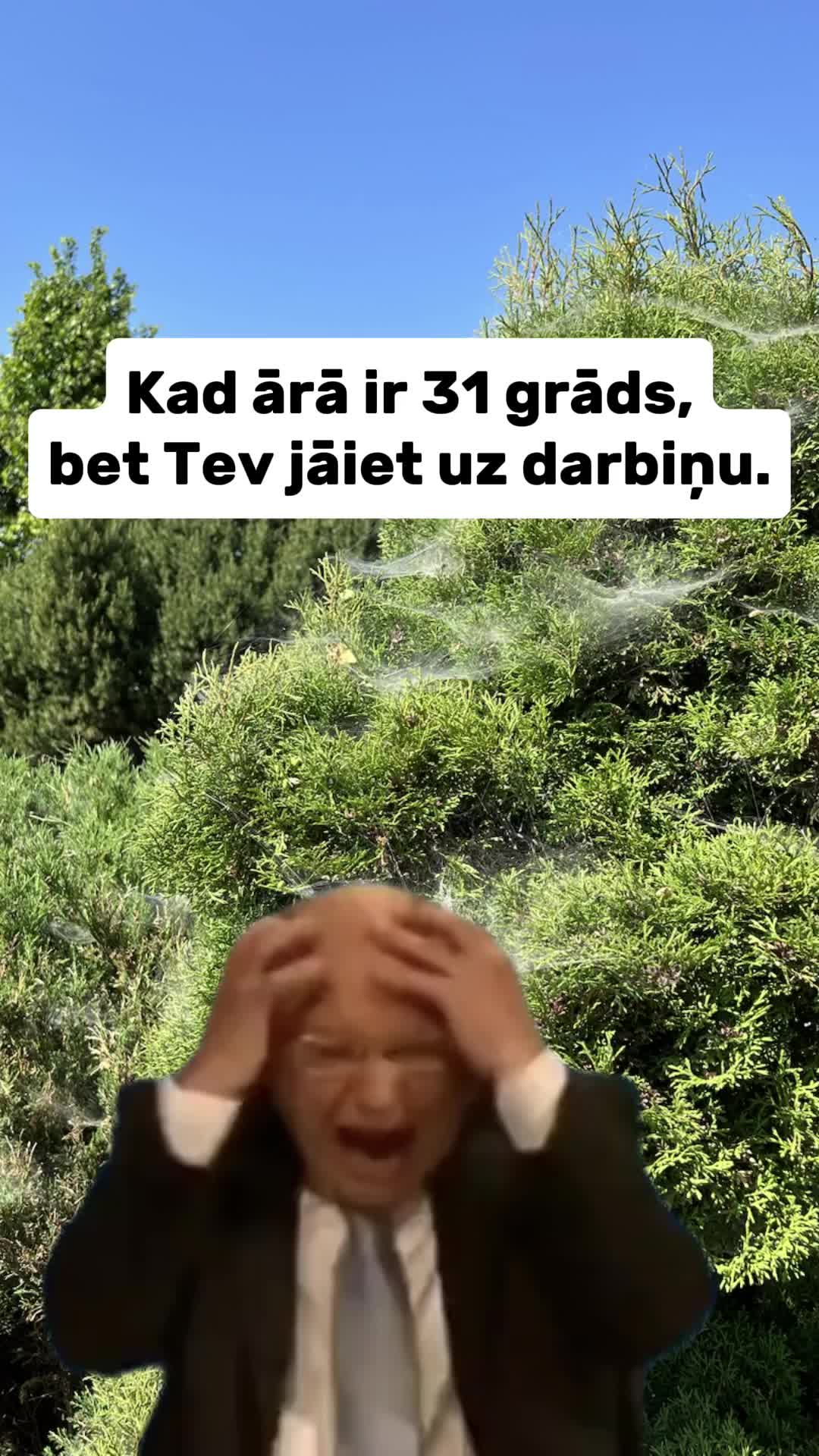 @Domus Angāri