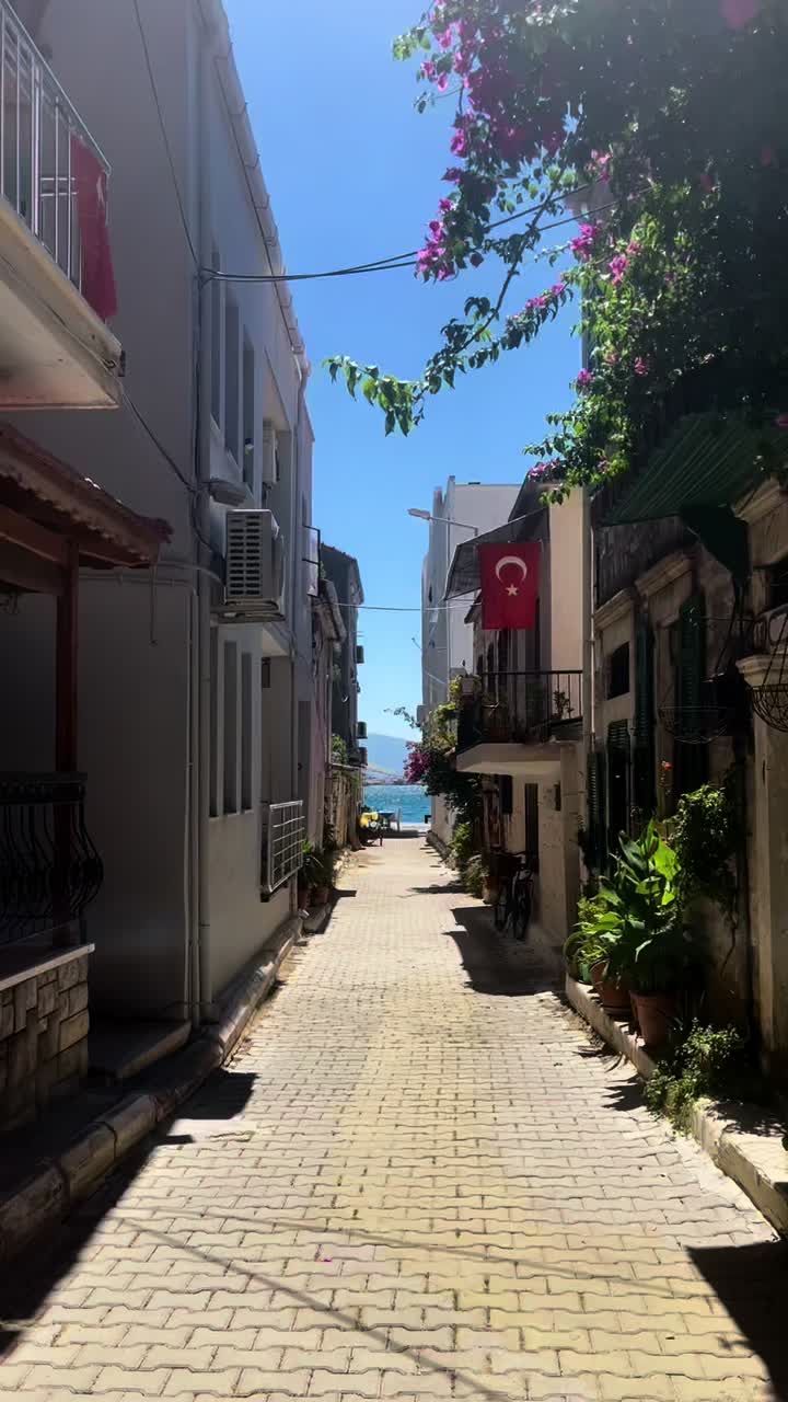 @travelerbedir