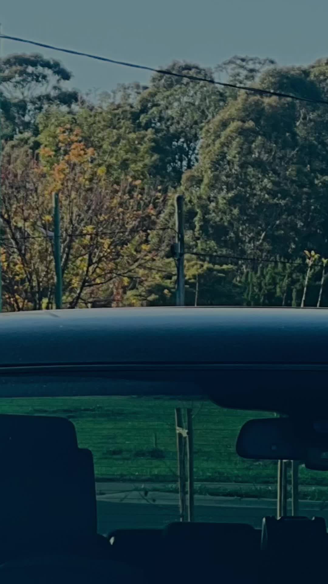 @Sarpanch307
