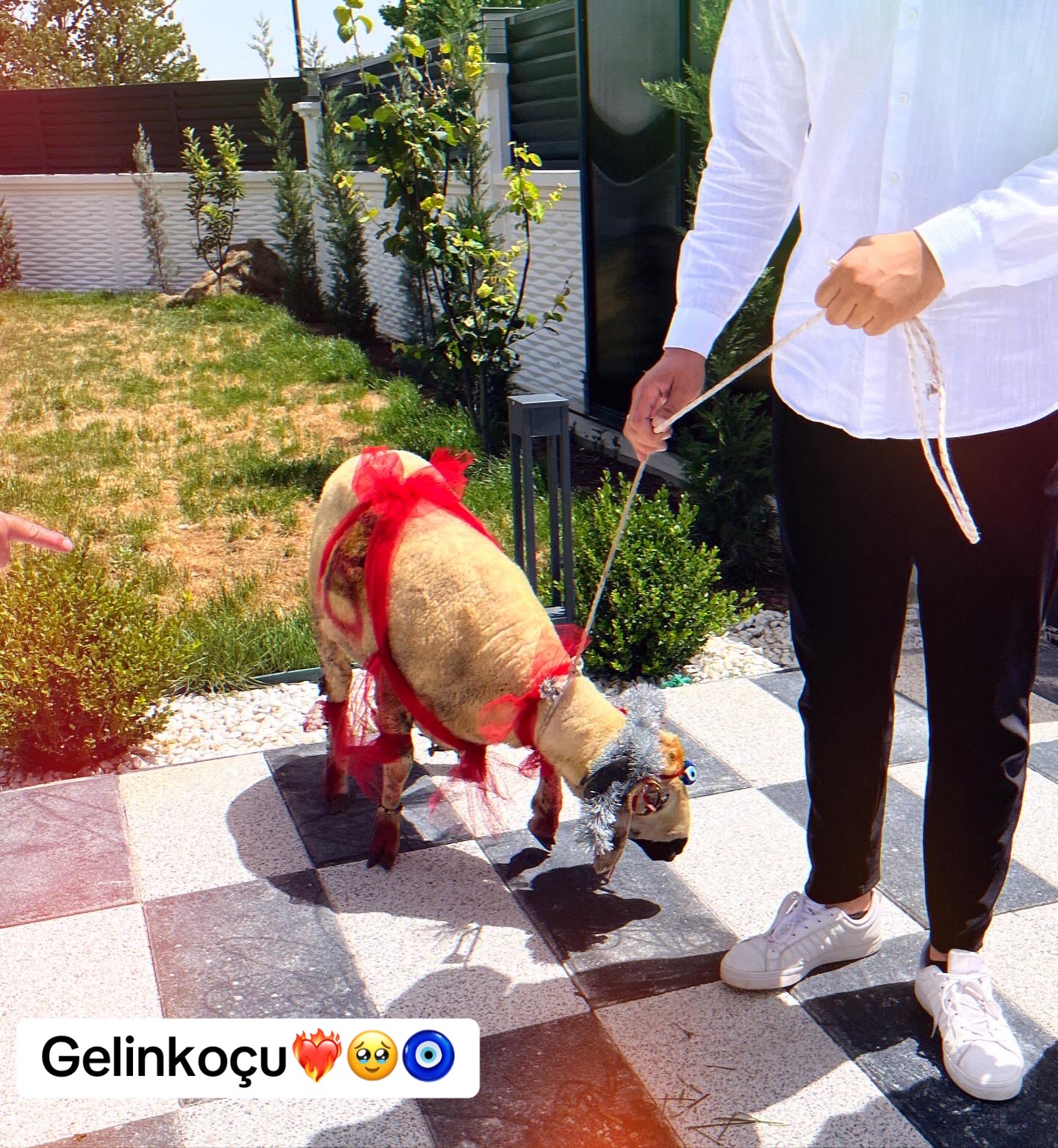 @Büşra Uzun