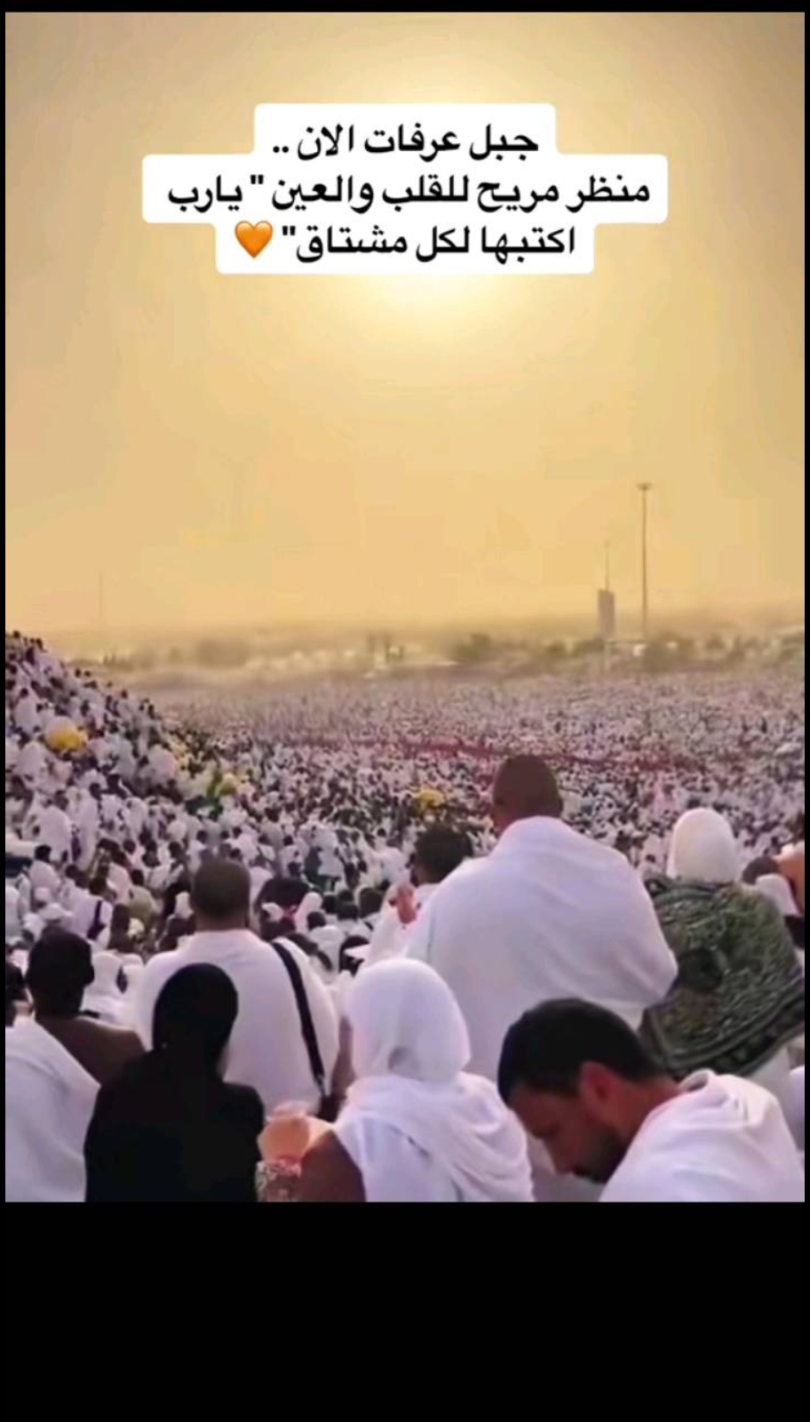 @نزهي احمد ابو النزهه