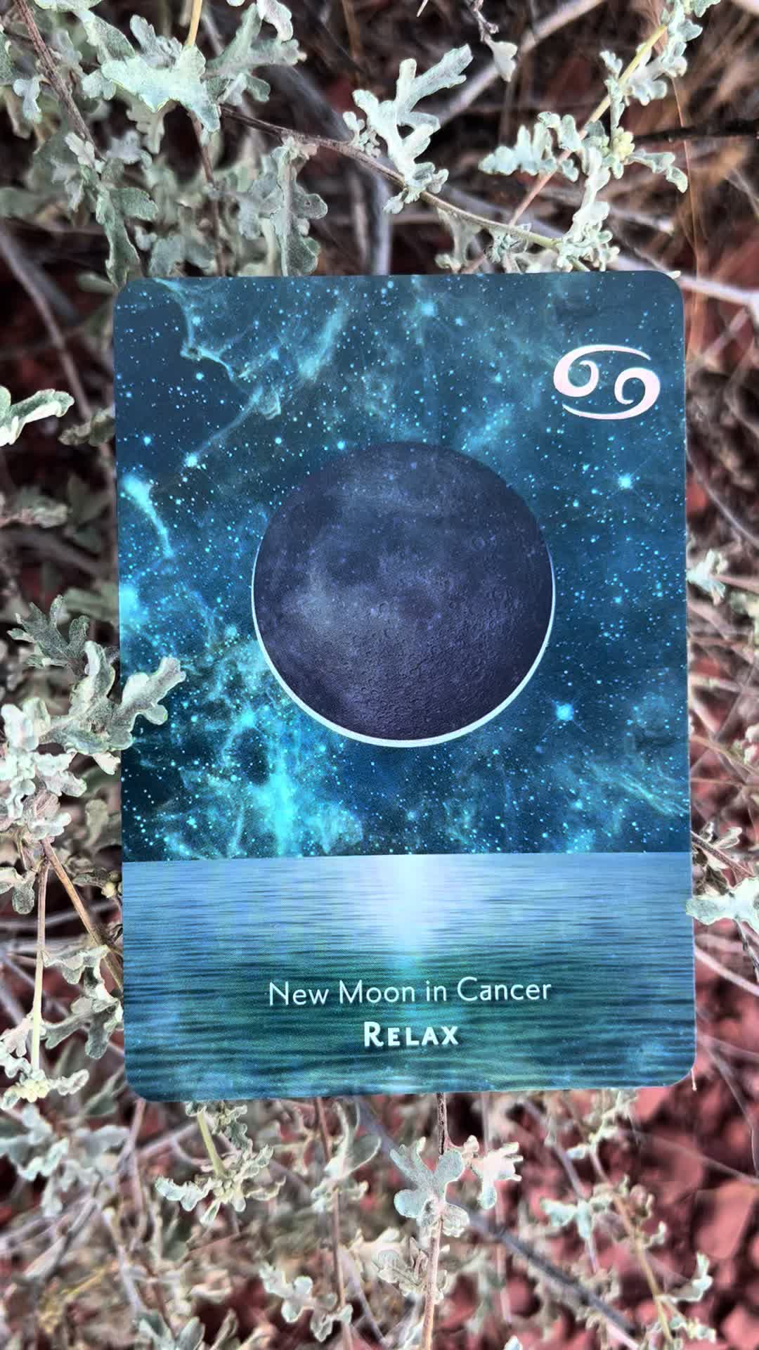 @💫 Star Keeper Oracle 🔮