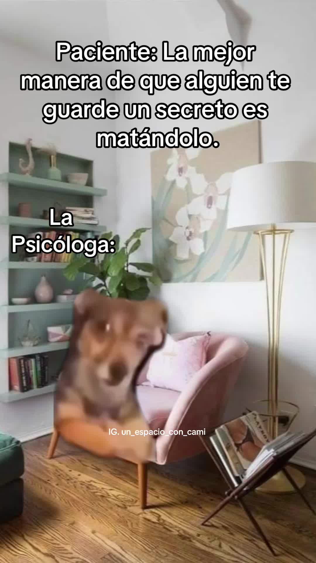 @Psic&oacute;loga Camila ✨