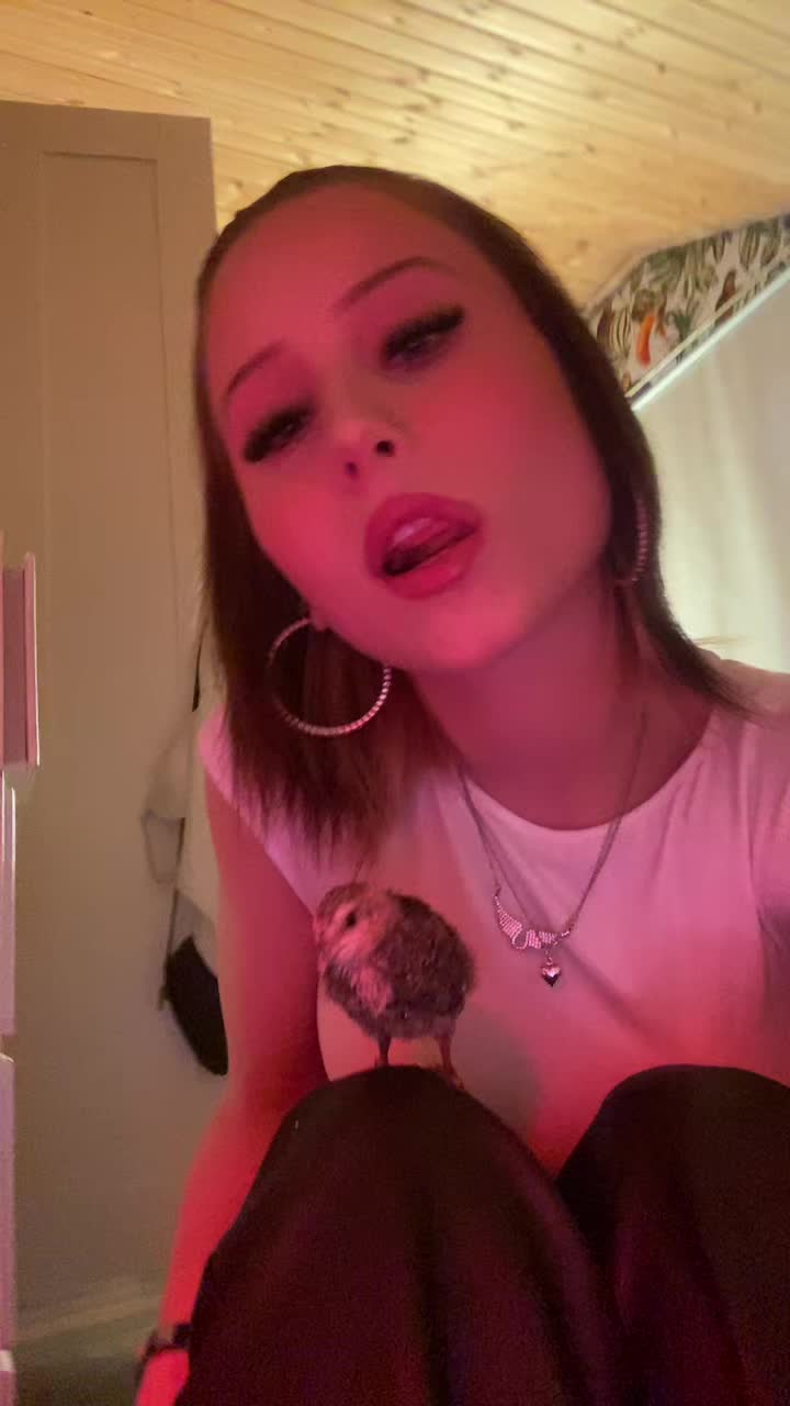 @T&ouml;rnrosa