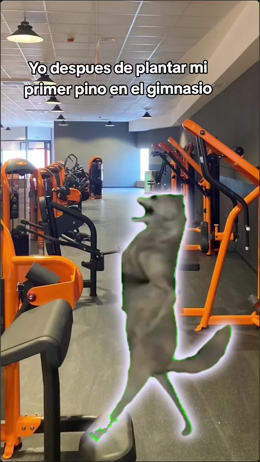 @xipy69