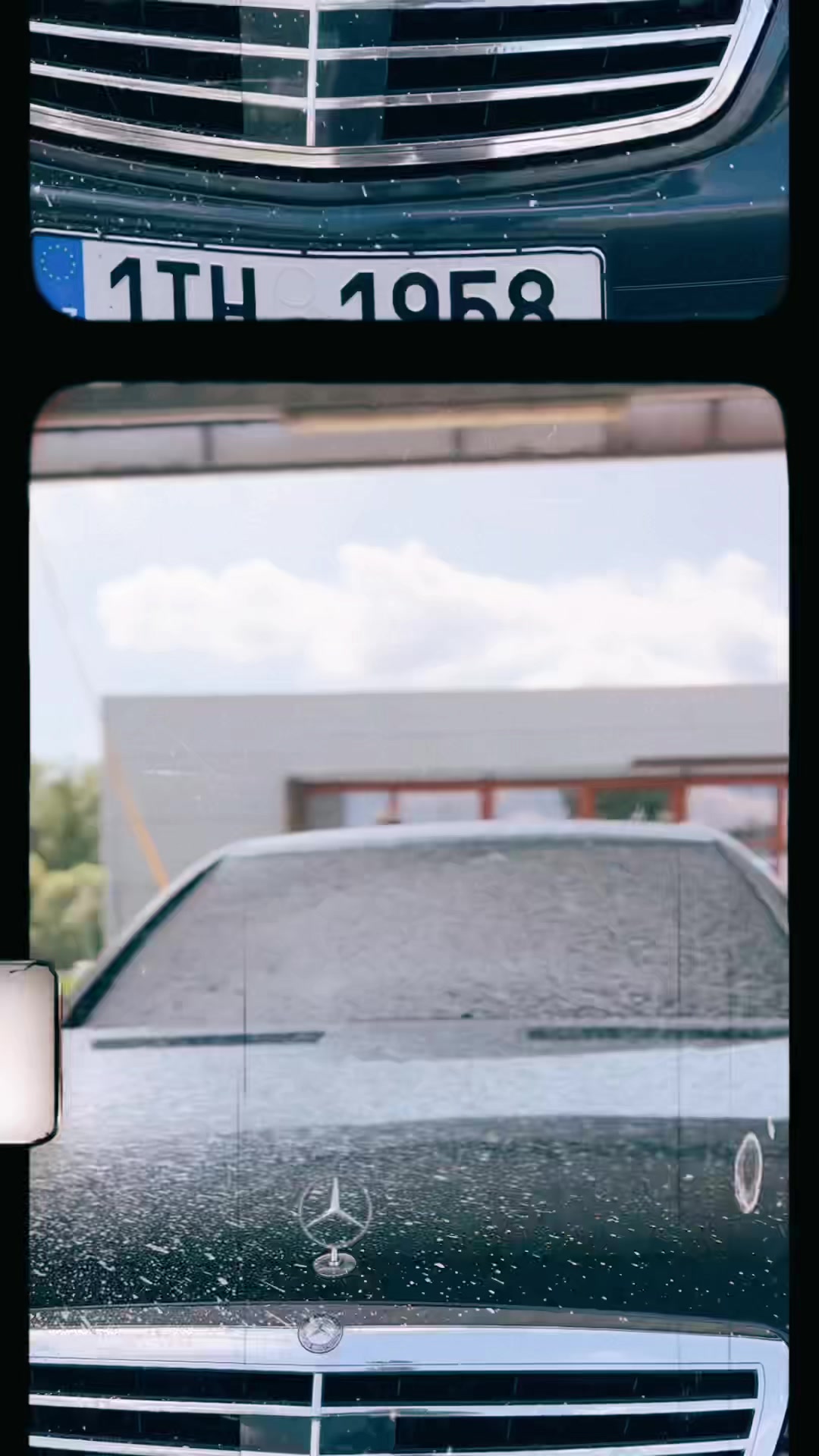 @DomSalamander