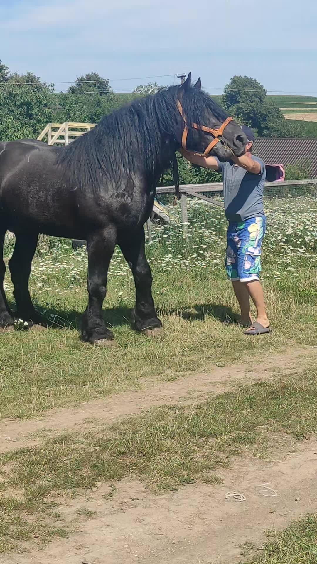 @ВАСЯ БОЙЧУК 🐎