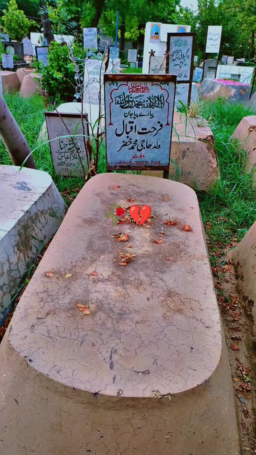 @M Zia Farhat
