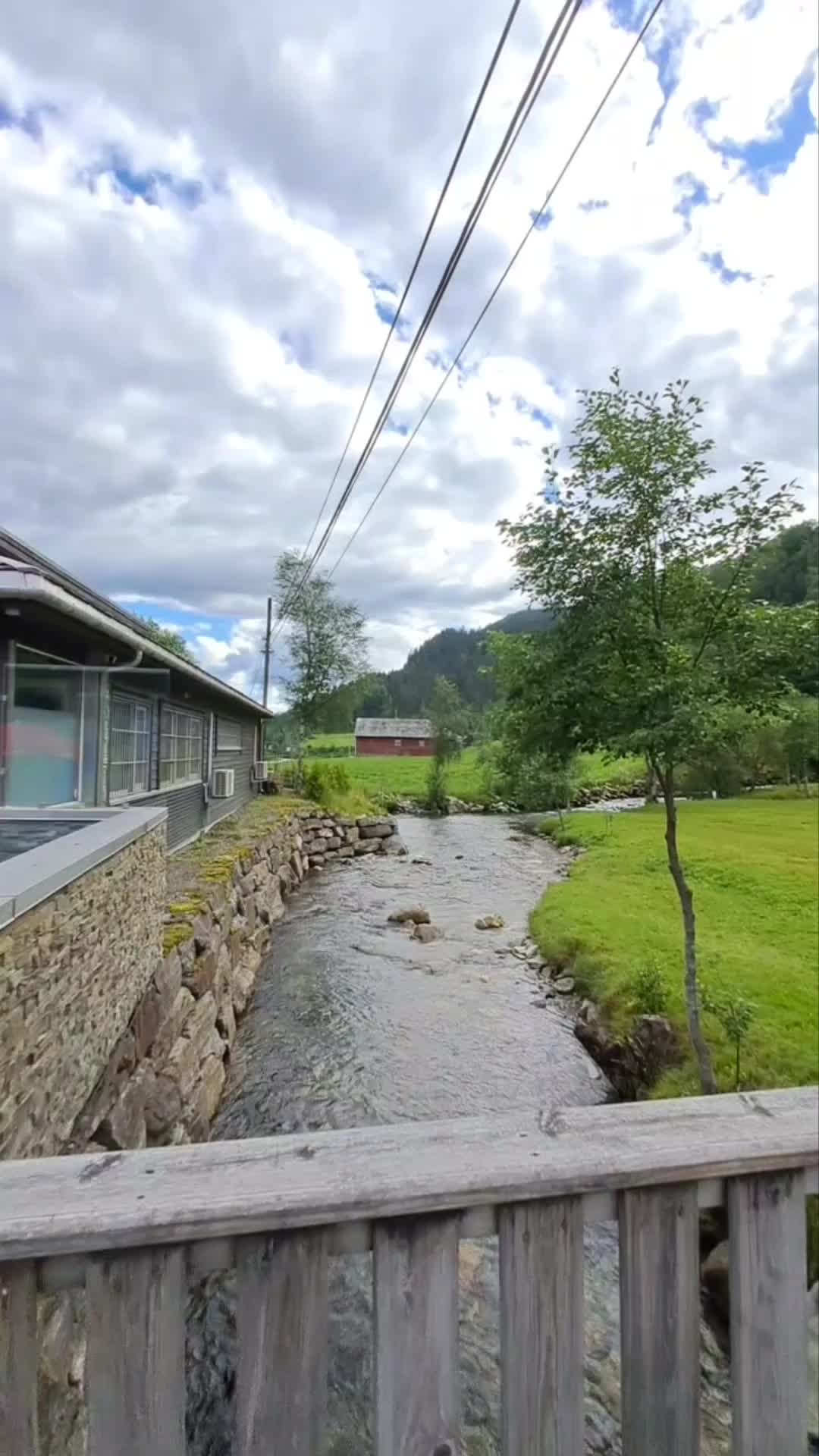 @maikeru55