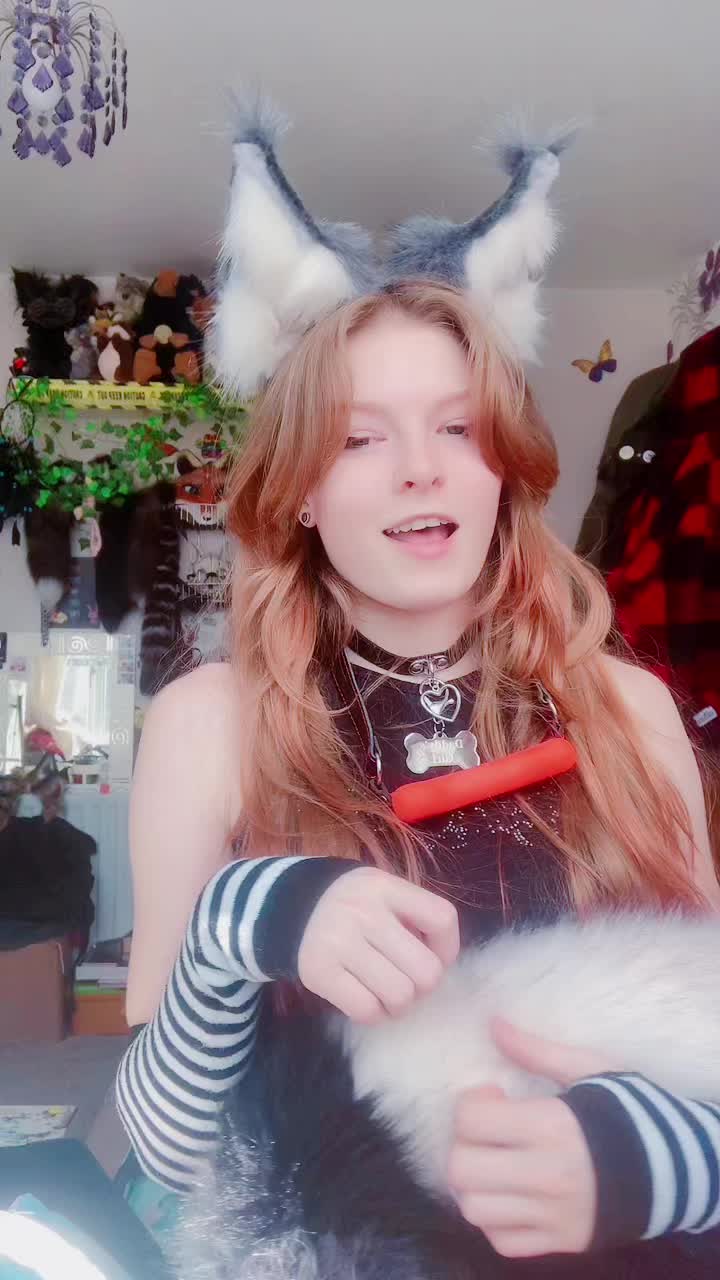 @~&bull;&deg;VixyPixy&deg;&bull;~
