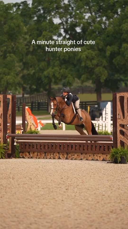 @Dalman Jump Co