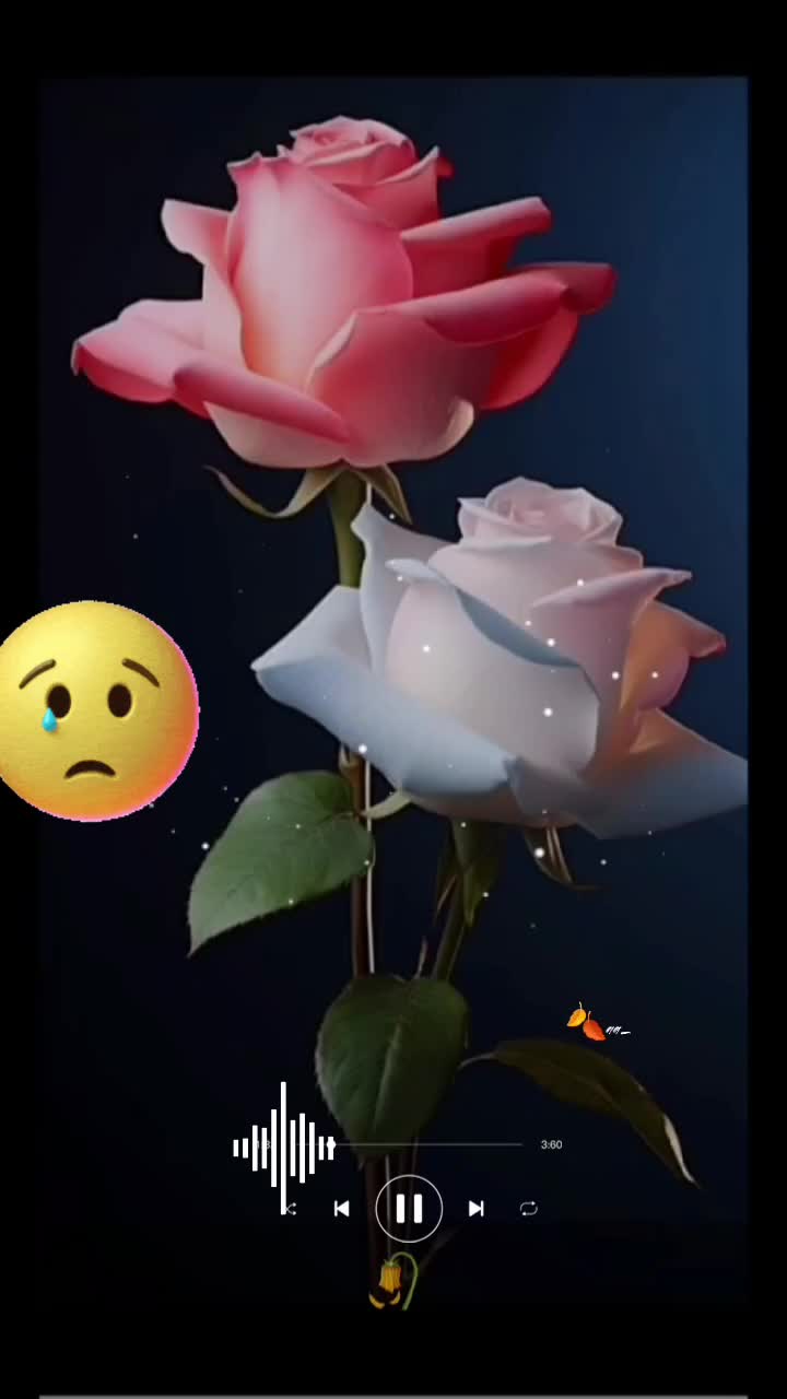 @👑مدمر🦅
