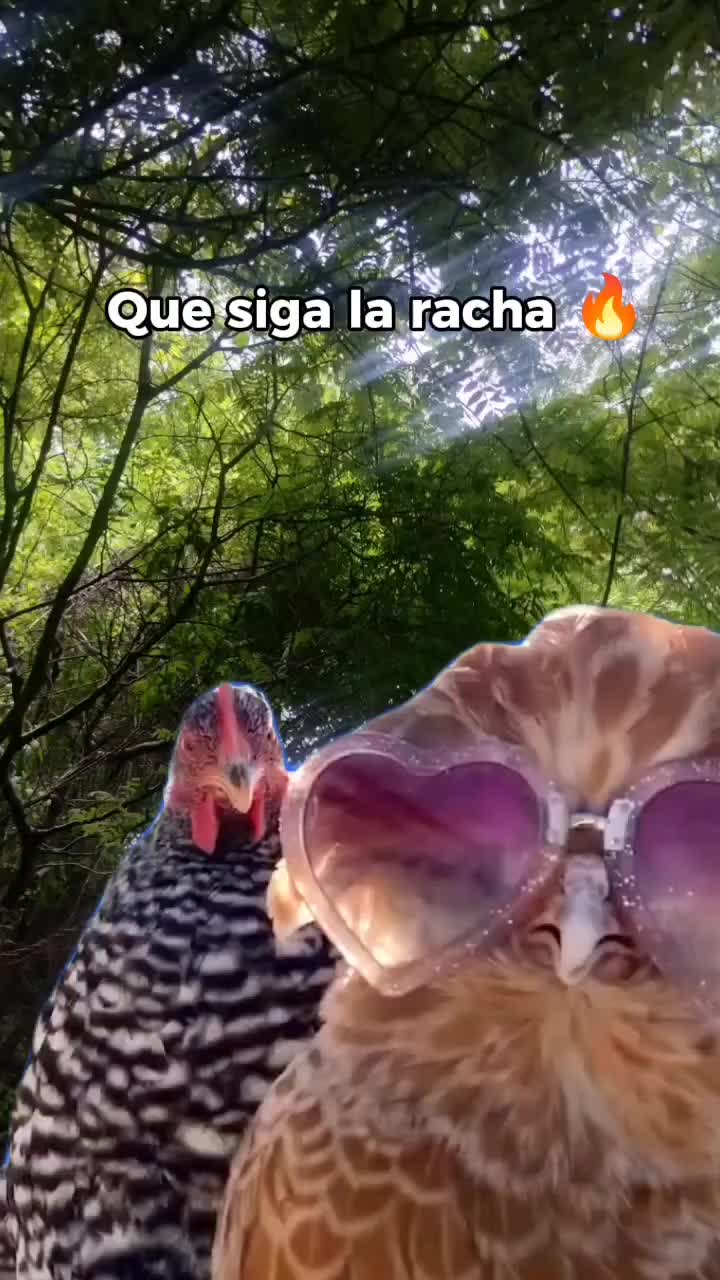 @marianita emprendedora